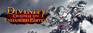 Divinity Original Sin - Enhanced Edition