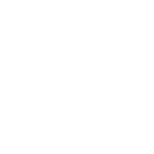 New World Interactive logo