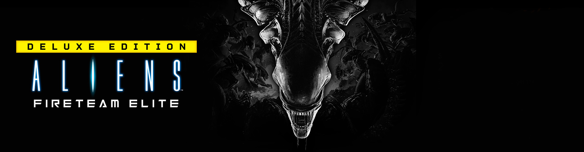 shop_banner
